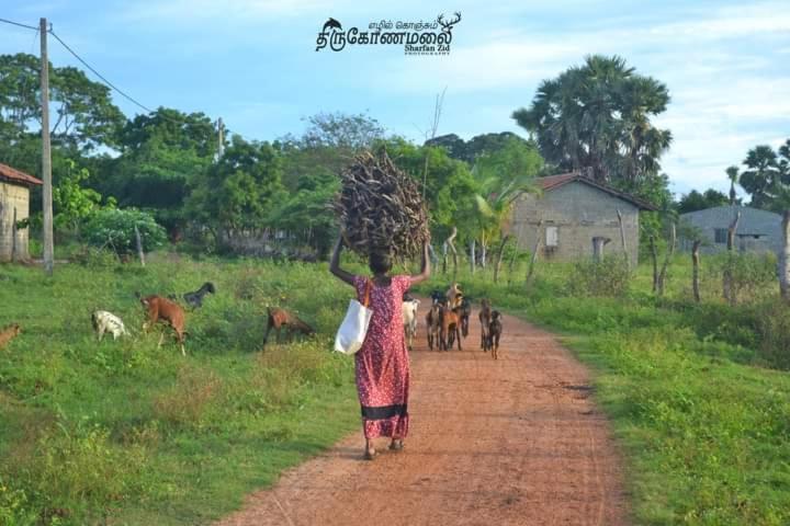 Uppuveli Beach House Trincomalee Bagian luar foto